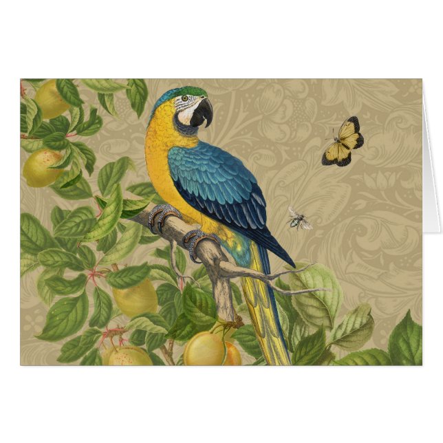 Macaw Blue Yellow Tropical Jungle Antique (Front Horizontal)