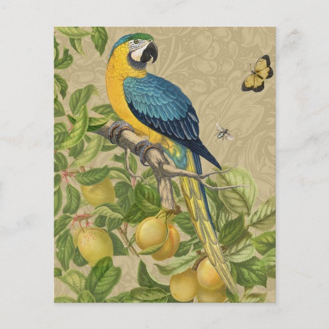 Macaw Blue Yellow Tropical Jungle Antique (Front)