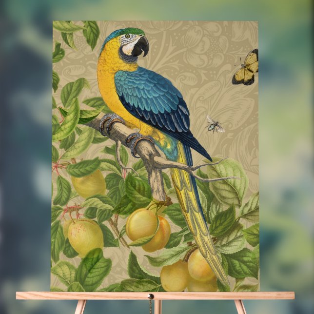 Macaw Blue Yellow Tropical Jungle Antique Acrylic Sign (Neutral)