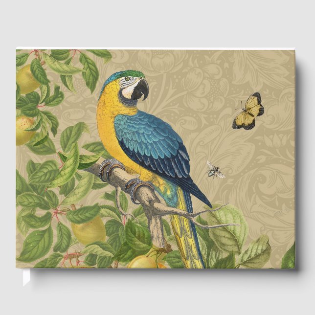 Macaw Blue Yellow Tropical Jungle Antique Guest Book (Front)