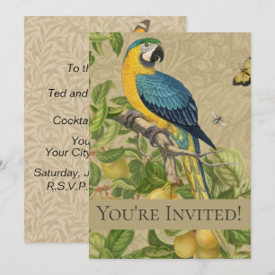 Macaw Blue Yellow Tropical Jungle Antique Invitation