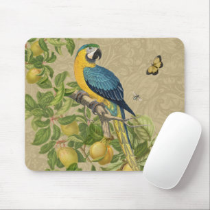 Macaw Blue Yellow Tropical Jungle Antique Mouse Mat