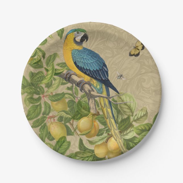 Macaw Blue Yellow Tropical Jungle Antique Paper Plate (Front)