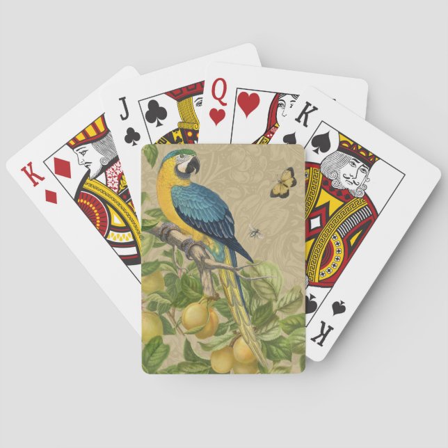 Macaw Blue Yellow Tropical Jungle Antique Playing Cards (Back)
