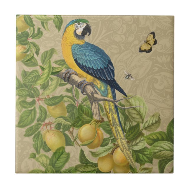 Macaw Blue Yellow Tropical Jungle Antique Tile (Front)