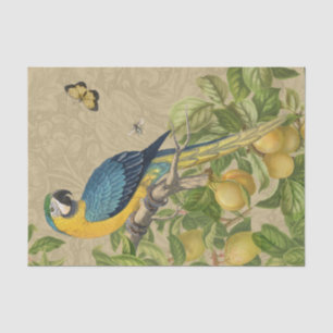Macaw Blue Yellow Tropical Jungle Antique Tissue Paper