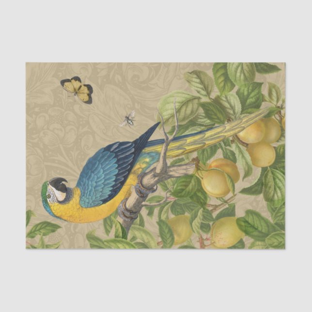 Macaw Blue Yellow Tropical Jungle Antique Tissue Paper (Front)