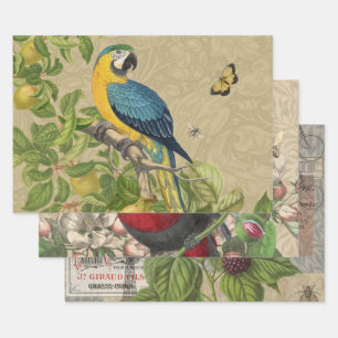 Macaw Blue Yellow Tropical Jungle Antique Wrapping Paper Sheet