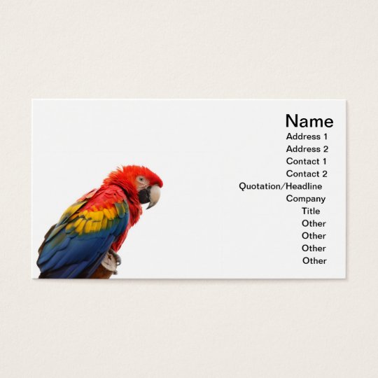 macaw business card