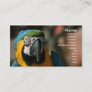 Macaw Business Card