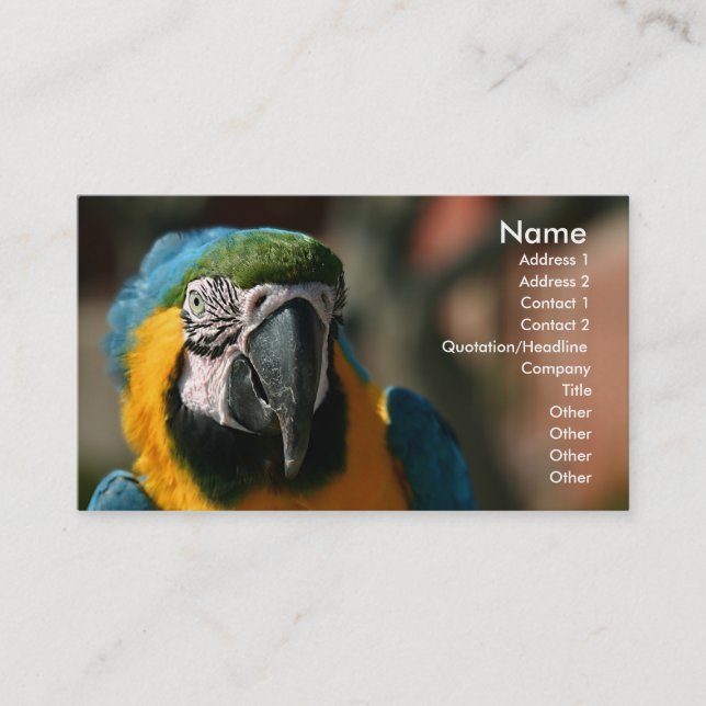 Macaw Business Card (Front)