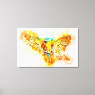Macaw Canvas Print