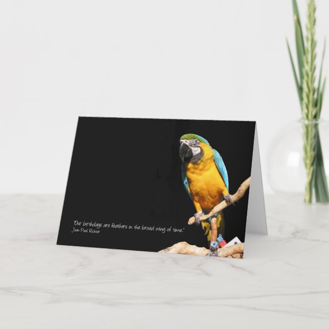 Macaw Card for All Occasions (Front)