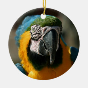 Macaw Ceramic Tree Decoration