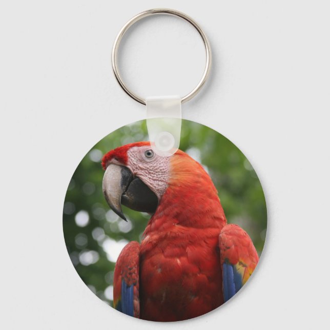 macaw face key ring (Front)