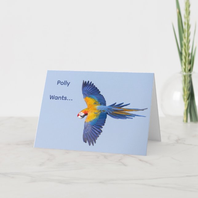 Macaw Flying Birthday Card (Front)