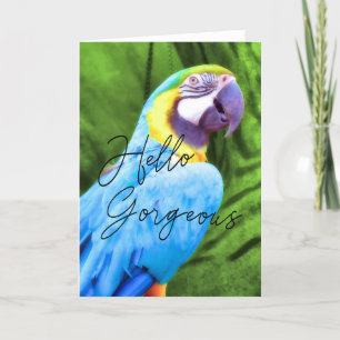 MACAW Greeting Card