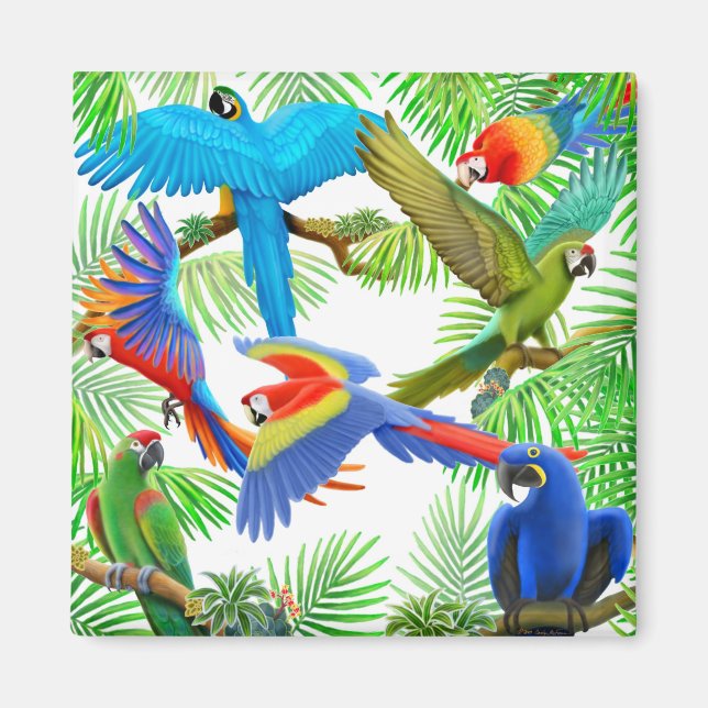Macaw Jungle Magnet (Front)