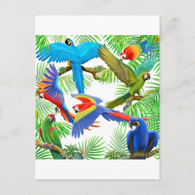 Macaw Jungle Postcard (Front)