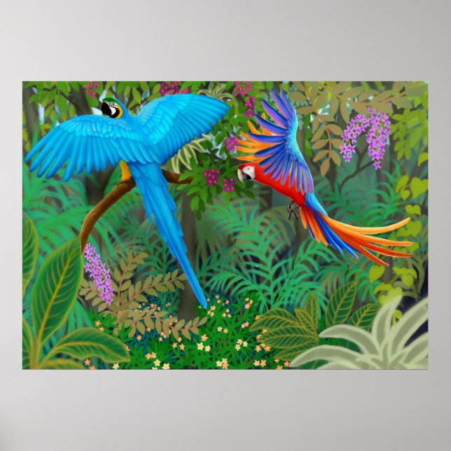 Macaw Jungle Poster (Front)