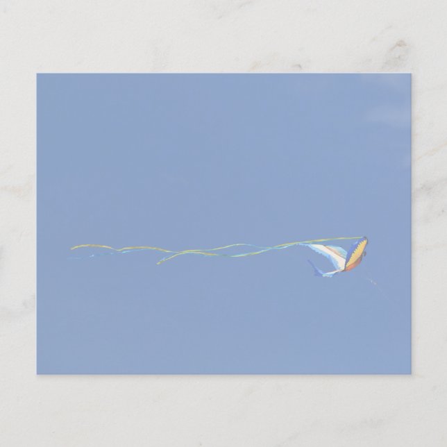 Macaw Kite (Front)