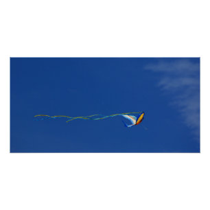 Macaw Kite Poster
