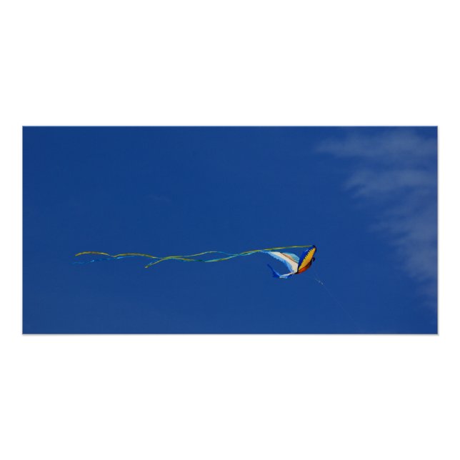 Macaw Kite Poster (Front)