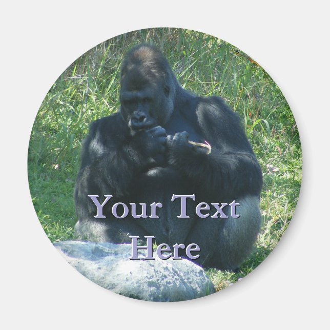 Macaw Magnet (Front)