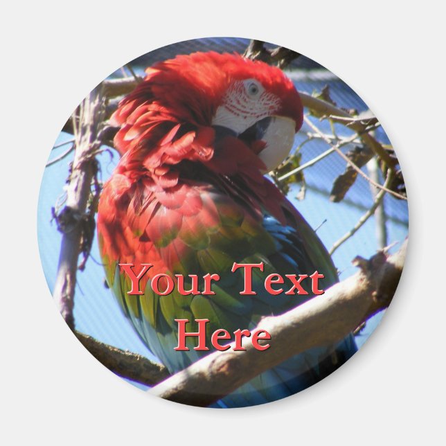 Macaw Magnet (Front)