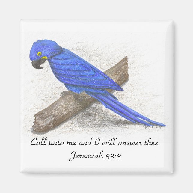 Macaw Magnet (Front)