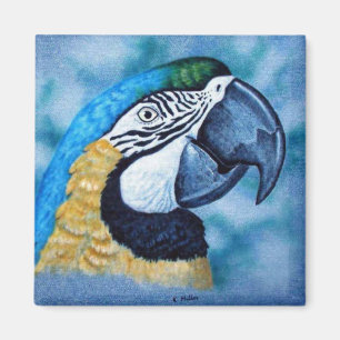 Macaw Magnet