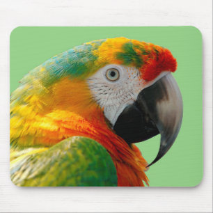 Macaw Mouse Mat