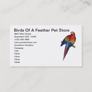 Macaw Parrot Bird Breeding Care Pet Store Business Card