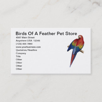 Macaw Parrot Bird Breeding Care Pet Store Business Card