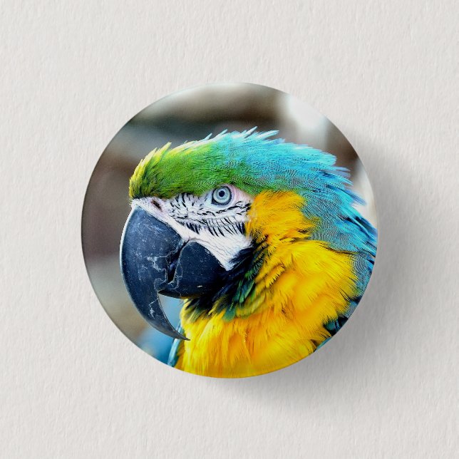 Macaw Parrot Bird Colourful Animal Portrait 3 Cm Round Badge (Front)