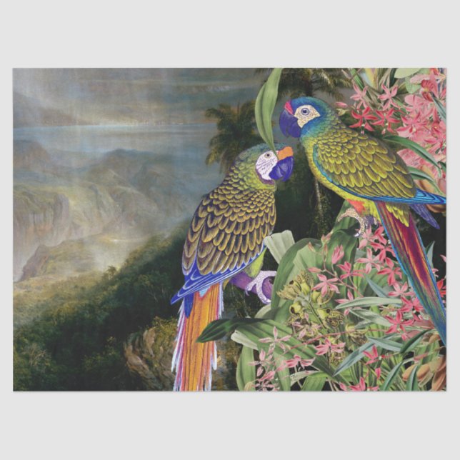 Macaw Parrot Bird Rain Forest Animals Tissue Paper (Front)