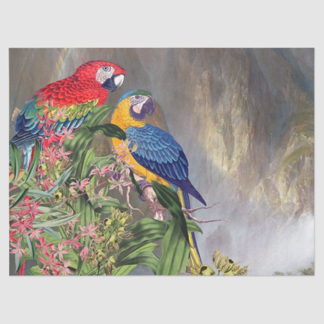 Macaw Parrot Bird Rain Forest Animals Tissue Paper (Front)