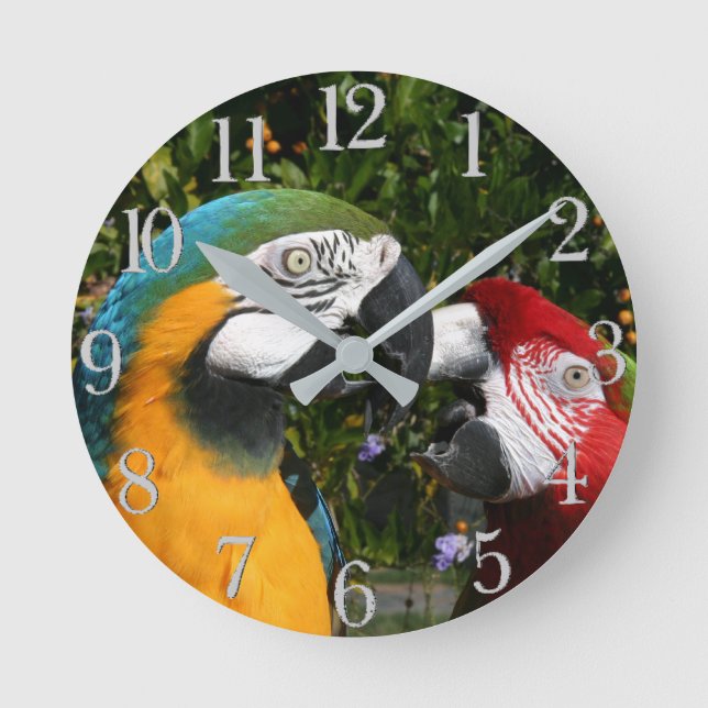 Macaw Parrot Birds Wildlife Animal Wall Clock (Front)
