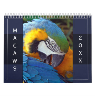 Macaw Parrot Blue Gold Scarlet Hyacinth 2026 Bird Calendar