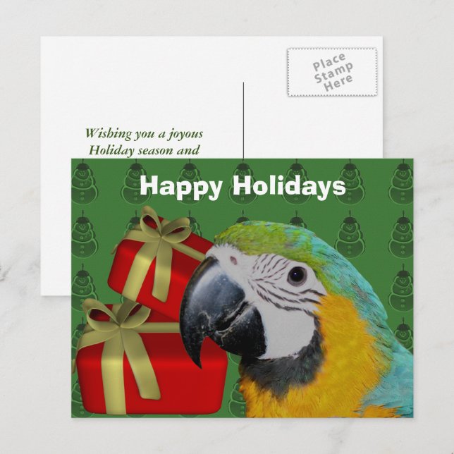 Macaw Parrot Christmas Holiday Postcard (Front/Back)
