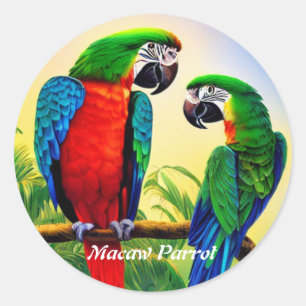 Macaw Parrot Classic Round Sticker