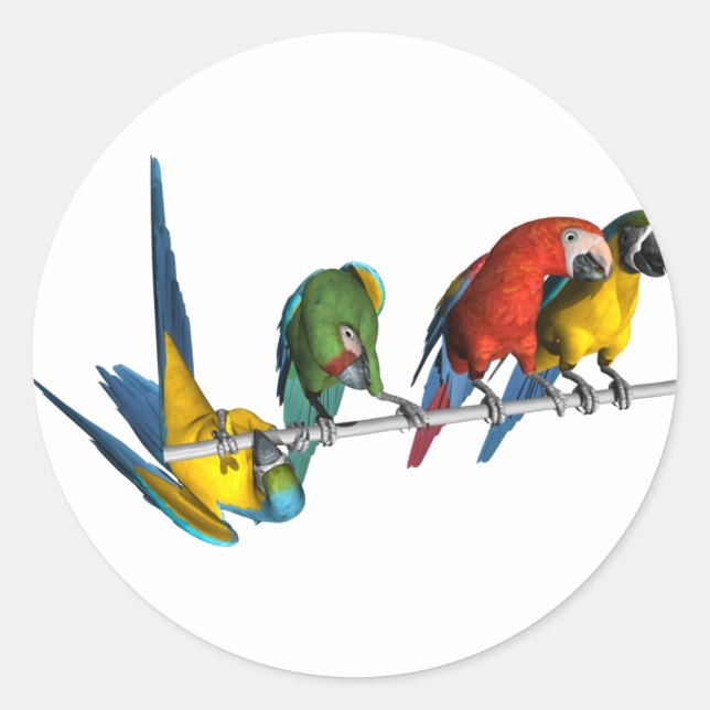 Macaw Parrot Classic Round Sticker (Front)
