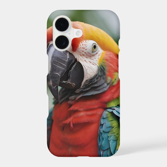 Macaw parrot colourful  (Back)