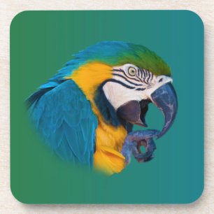 Macaw Parrot, Customisable Cork Coaster