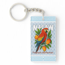 Macaw-parrot