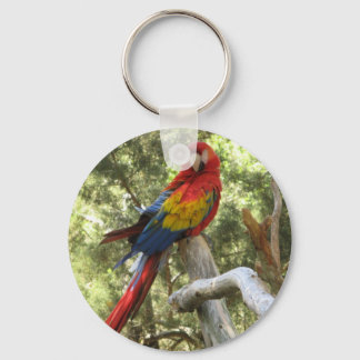 Macaw Parrot Keychain