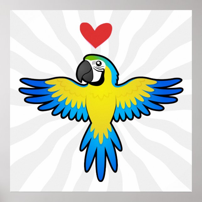 Macaw / Parrot Love Poster (Front)