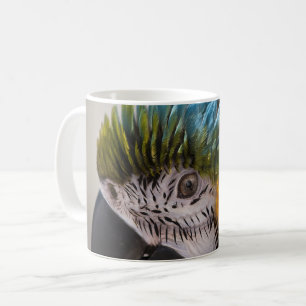 Macaw Parrot - Mug