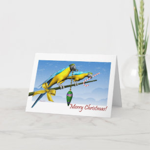 Macaw Parrot Ornament Candy Cane Christmas Card