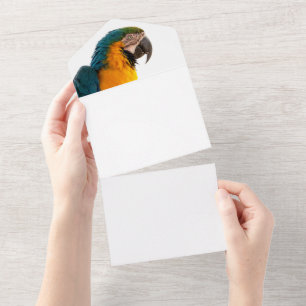 Macaw Parrot Photo All In One Invitation